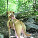 Profile Picture of Jamie Perrin (@jamisonkp15) on Instagram