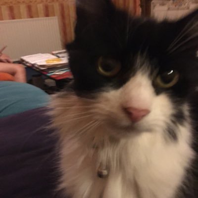 Profile Picture of Nigel Swift (@nigelswift6) on Twitter