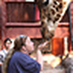Profile Picture of Kim Gress (@Bell Dex) on Flickr
