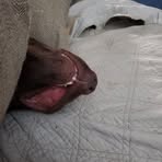 Profile Picture of Debra Marshall McInnis (@debra.m.mcinnis) on Facebook