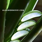 Profile Picture of Robert K McGreevy (@aloeworks101) on Instagram