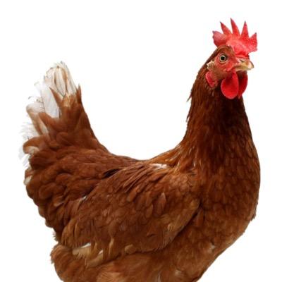 Profile Picture of DylanLikeWoah (@HarrimanDylan) on Twitter