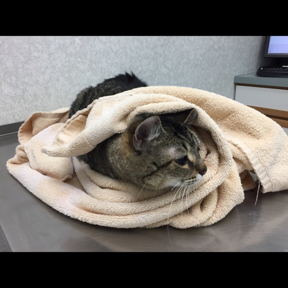 Michelle Lelli - Poshmark Profile Picture of Michelle Lelli (@mlelli) on Poshmark