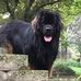 Profile Picture of Linda Engstrom (@linda.engstrom.904) on Facebook