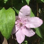 Profile Picture of Else Britt Hermansen (@ebritther) on Instagram