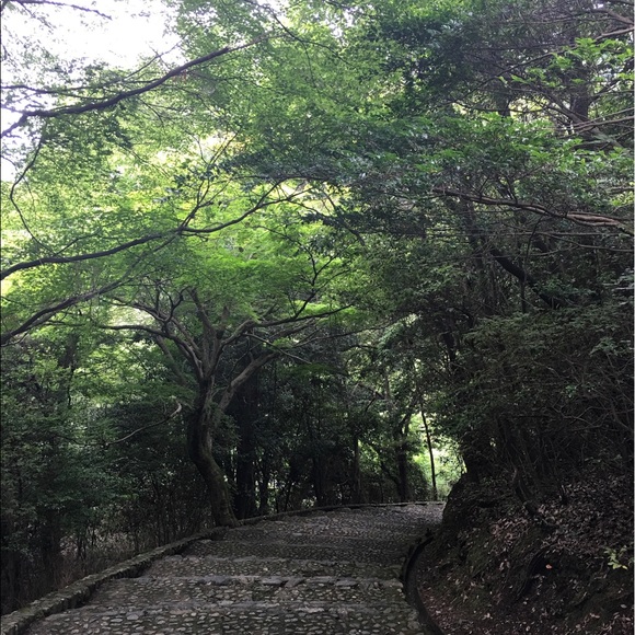 Profile Picture of Yifei Hao (@miuna44) on Poshmark