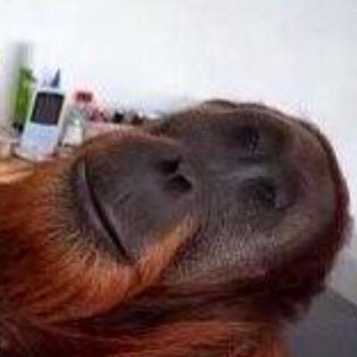 Profile Picture of Joe Torn (@joetorn1) on Twitter