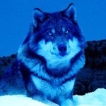 Michael Naso - Instagram Profile Picture of Michael Naso (@mikepixls) on Instagram