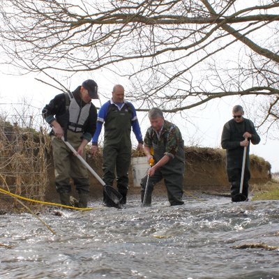 Profile Picture of Iain Turner (@IFMFish2) on Twitter