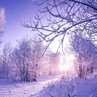 Profile Picture of Aida Tadrous (@tadrous.aida) on Facebook