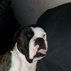Profile Picture of Larry Scoggins (@larryscoggins) on Tiktok