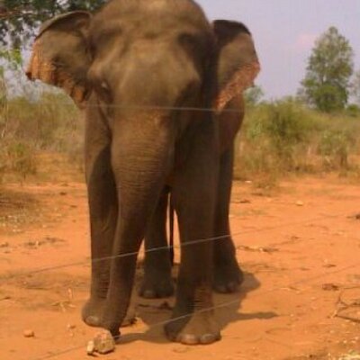 Profile Picture of Joe Osman (@Joe_Osman) on Twitter