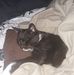 Profile Picture of Kevin Weyman (@kevin.weyman.54) on Facebook