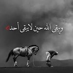 Profile Picture of Naser Mohammed (@nasermoha8) on Instagram