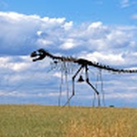 Profile Picture of Jeff Herring (@jeff-herring-29) on Quora