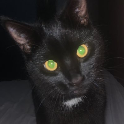 Profile Picture of Edward Hanson (@EdwardH78124780) on Twitter