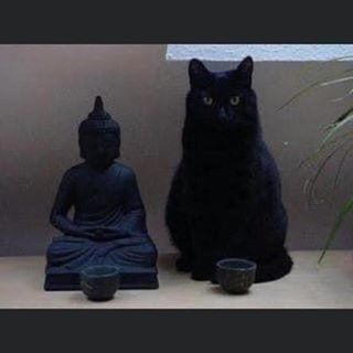 Profile Picture of Laurynda Ann Williams (Ryndy) (@laurynda.williams) on Facebook