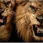 Profile Picture of Robert Dove (@rob_in_houma) on Instagram