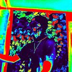 Profile Picture of Ben Berwick (@bennyzenz) on Instagram