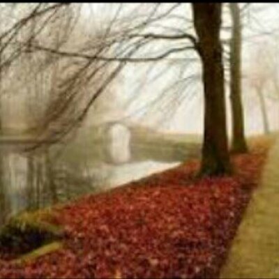 Profile Picture of Lara Ali (@laraali5050) on Twitter