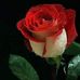 Profile Picture of Sini Varghese (@sini.varghese.7902) on Facebook