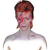 Profile Photo of   I never wave bye-bye 👋 But... (@davidbowie) on Tiktok