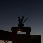 Dominic Coleman - Instagram Profile Picture of Dominic Coleman (@silhouetteonanightsky) on Instagram