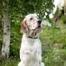 Profile Picture of Michael Simonsson (@Michael.Simonsson.76) on Facebook