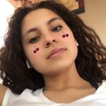 Profile Picture of Priscilla Ariel Castaneda (@arielsilva_22) on Instagram