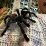 Profile Picture of Jerome Kendrick (@eight_eyed_jerome) on Instagram