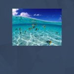 Profile Picture of Joan Torrent Fargas (@joan_torrent2) on Instagram