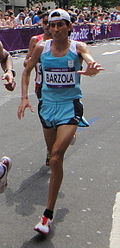 Profile Picture of Miguel Barzolaon Wikipedia