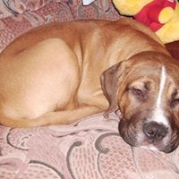 Profile Picture of Victor Tarr (@victor-tarr-2) on Quora