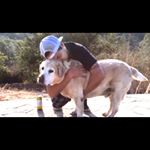 Profile Picture of Anthony James (@_surber_) on Instagram