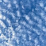 Profile Picture of alisha (@alisha_photography_page) on Instagram