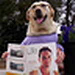 Profile Picture of Vanessa  Ryan (@Nessa_Butterfly) on Flickr