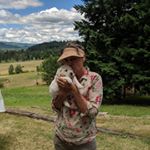 Profile Picture of Linda Harlow (@harlow3051) on Instagram