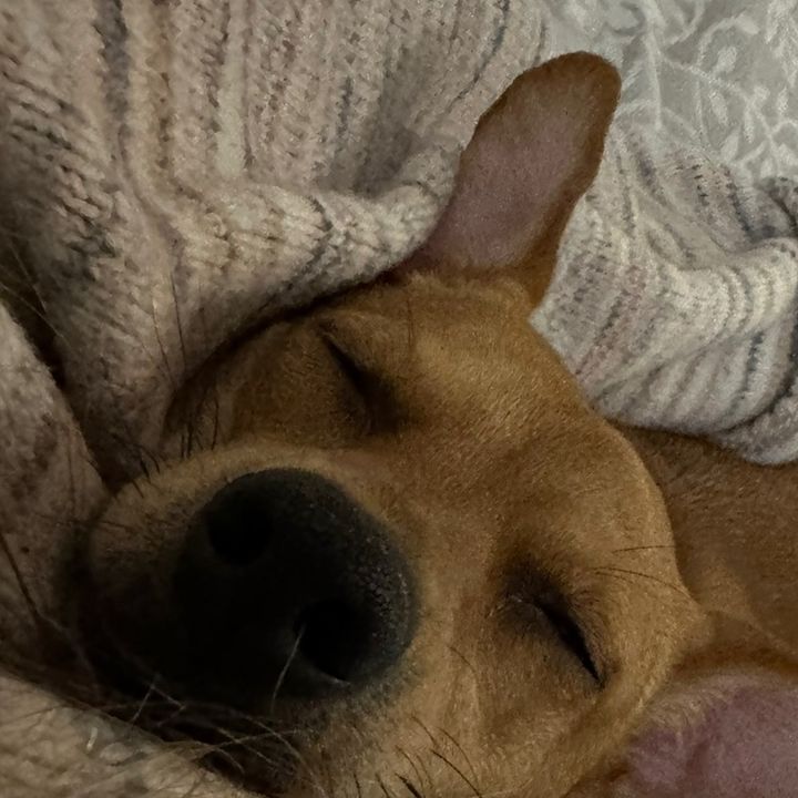 Profile Picture of Seals (@sealss_yzz) on Tiktok