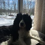 Profile Picture of colin.dunnigan11 (@colin.dunnigan11) on Instagram