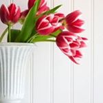 Profile Picture of Joanna Alderson (@joannaalderson) on Instagram