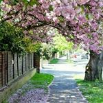 Profile Picture of Roy (@__empty_ness) on Instagram