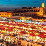 Farah Sadik - Instagram Profile Picture of Farah Sadik (@steringweel) on Instagram