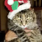 Profile Picture of Amy Berghoefer (@amyberghoefer) on Instagram