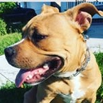 Profile Picture of Robert souder (@robertsouder23) on Instagram