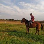 Profile Picture of Joel Lemos (@joellemos_) on Instagram