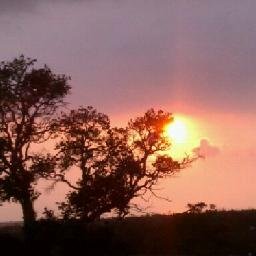 Profile Picture of Rick Jorgensen (@rickwj9851) on Twitter