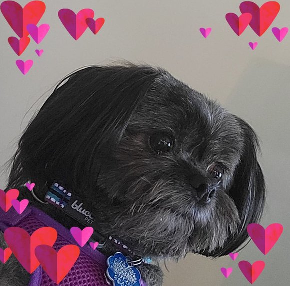 Profile Picture of Cheryl Pfirrman (@cherylpfirrman) on Poshmark