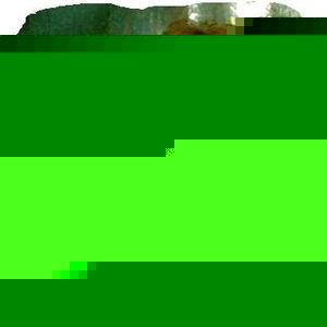 Profile Picture of Lisa Ermine (@202153530) on Myspace