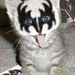 Profile Picture of Mary Ann Westmeier (@swwt) on Pinterest