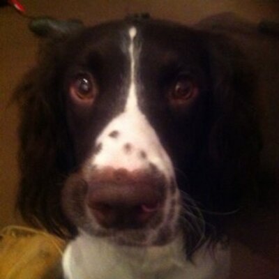 Profile Picture of Bamford85 (@DanielBamford85) on Twitter